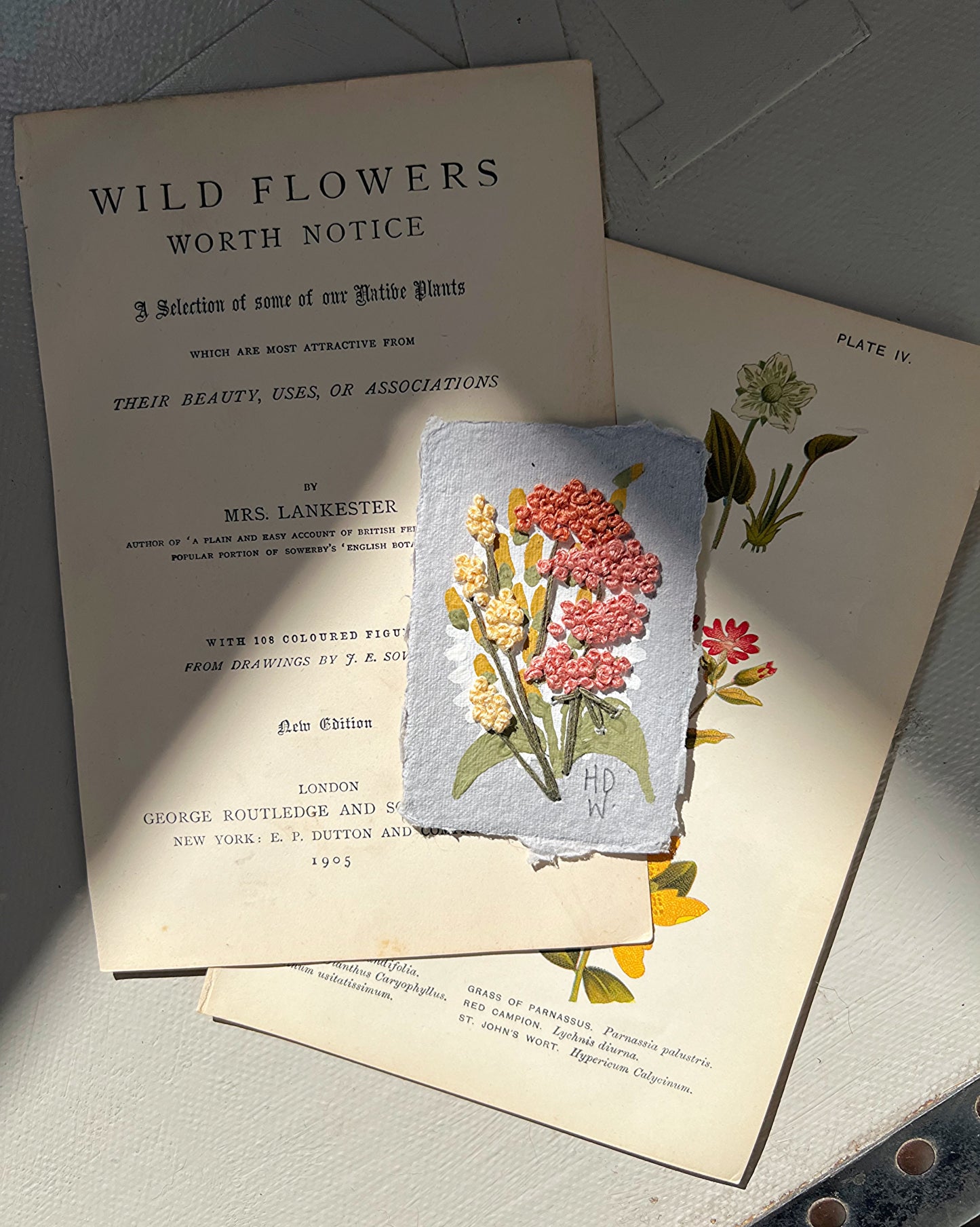 025 - Embroidered wild flowers on Handmade Paper