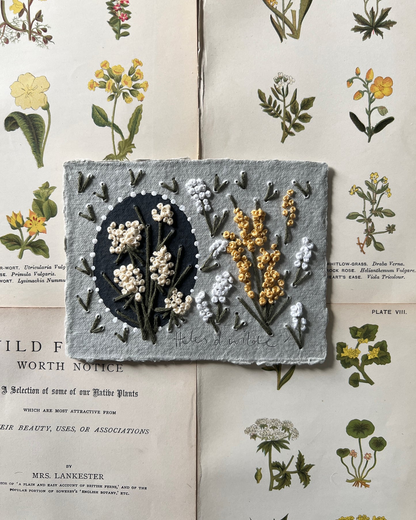 021 - The Meadow, Embroidery on Handmade Paper