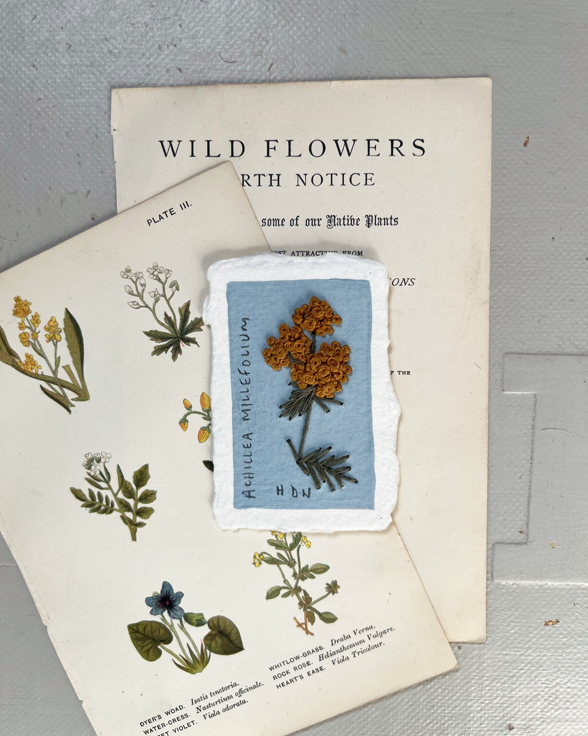 005 Achillea Millefolium Embroidery on paper