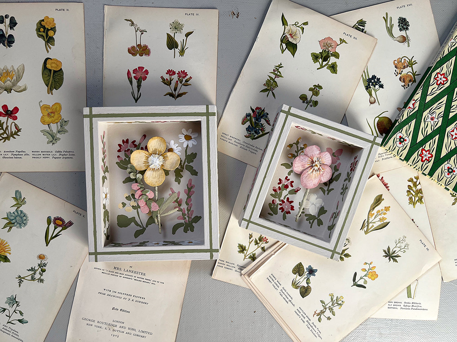 The Wild Floral Collection