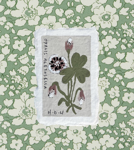008 Wood Sorrel Painting
