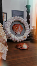 Load image into Gallery viewer, Sea Shell Framed Embroidered Scallop

