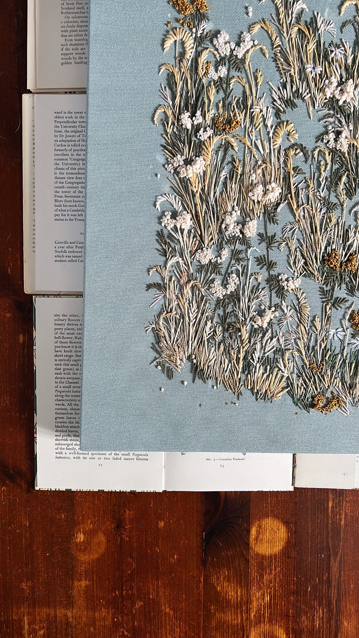 000 Embroidery on Linen. - The Summer Garden I
