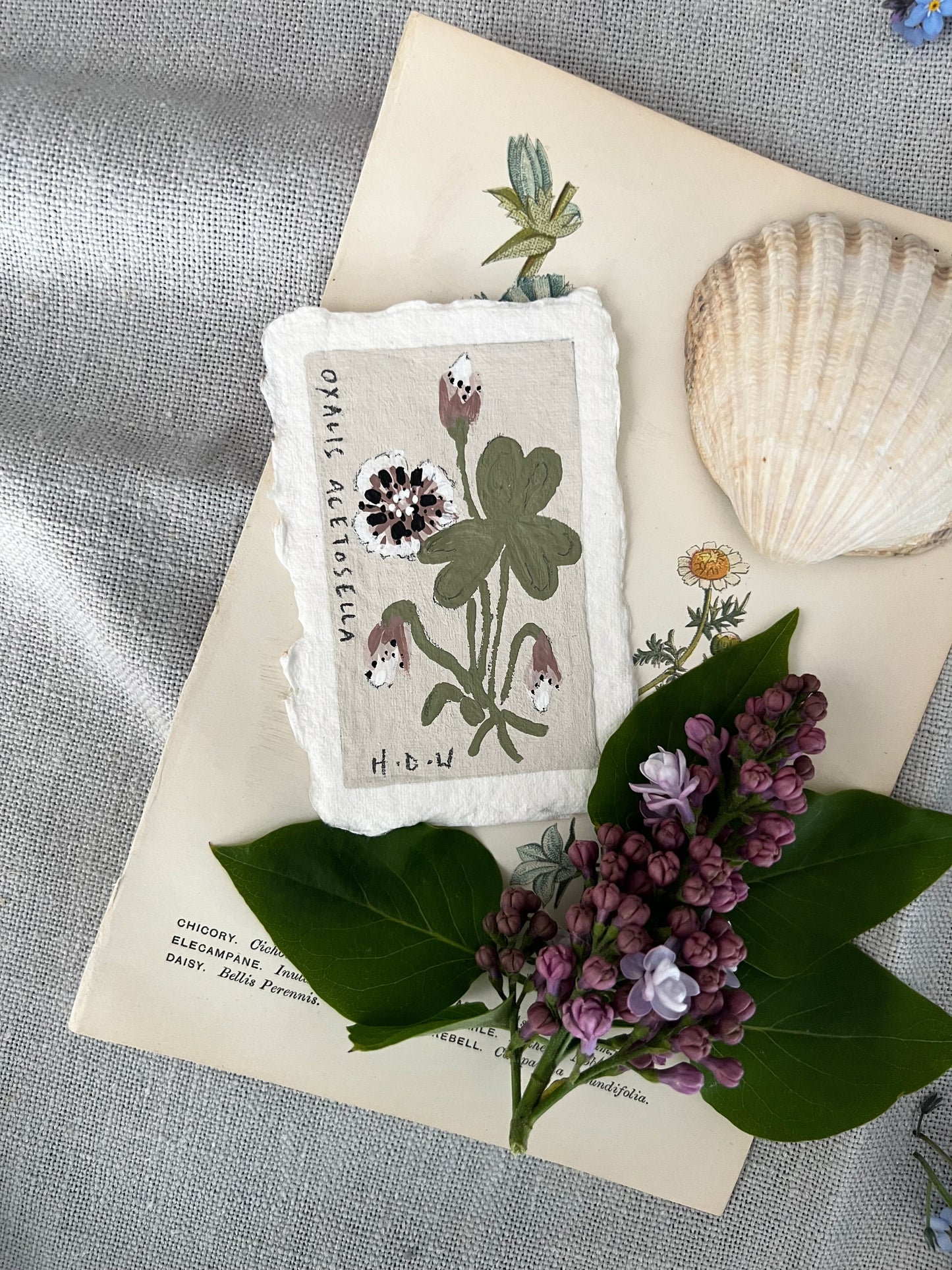 008 Wood Sorrel Painting