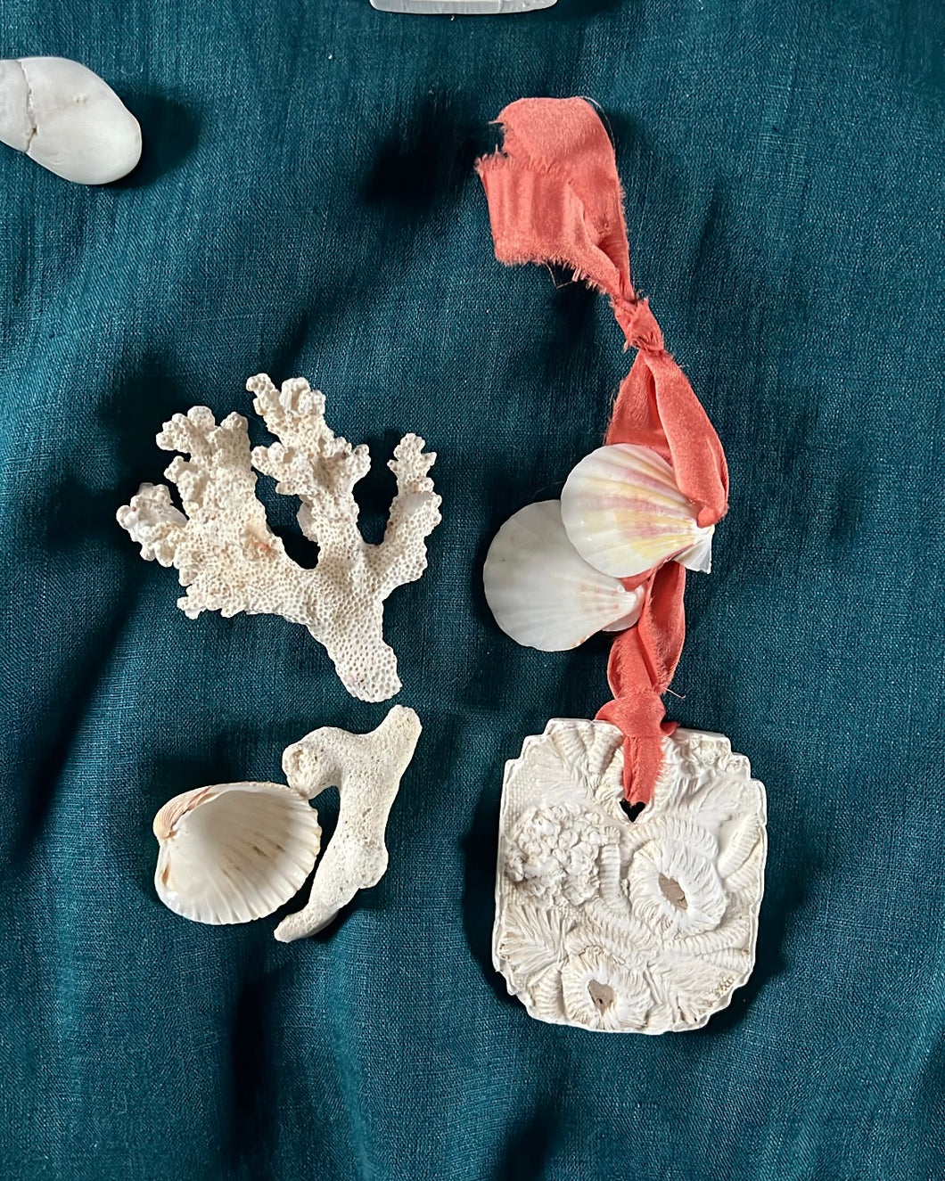 Plaster Hanger  - Seashell relief VIII