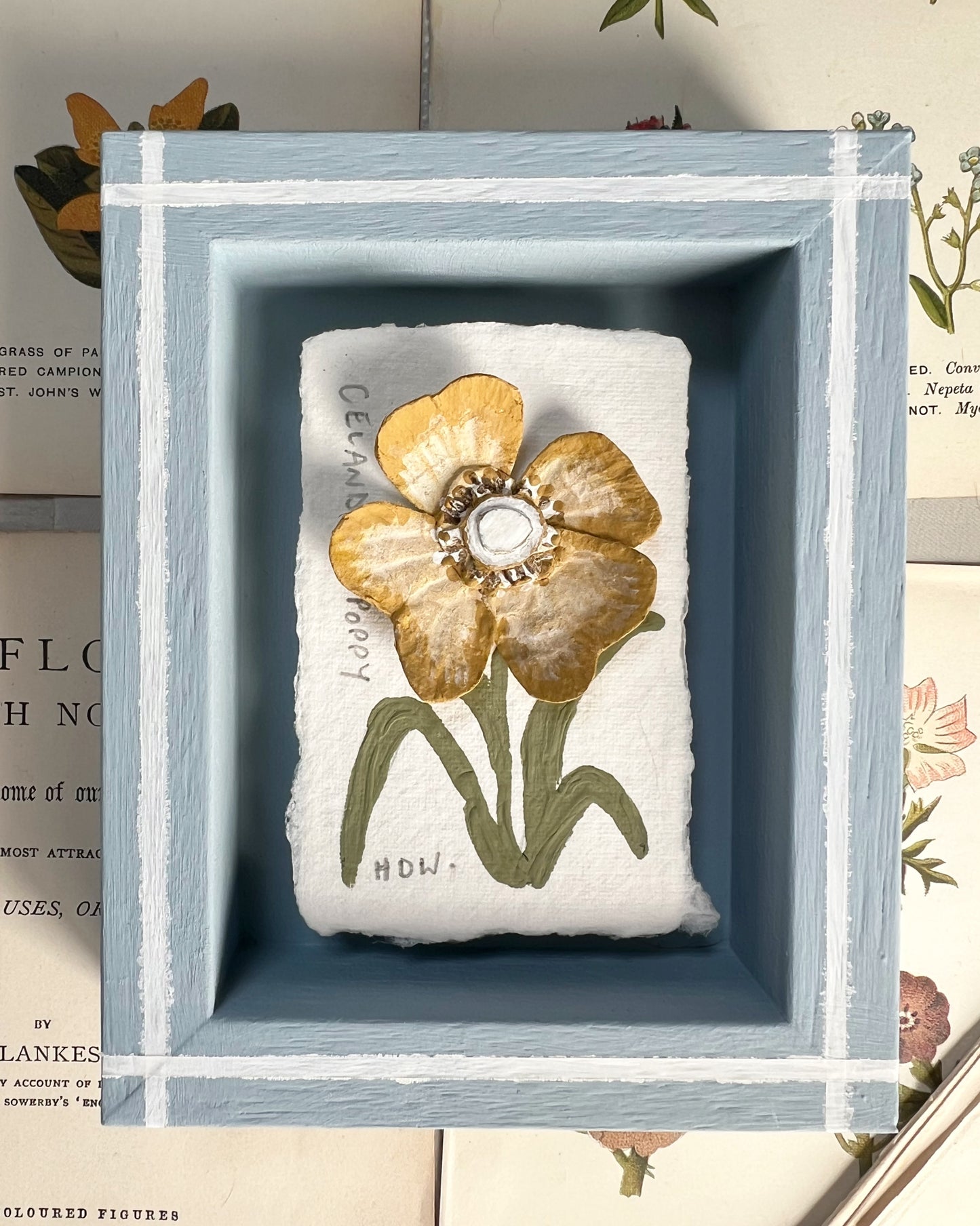004 - Paper wild flower with painted Frame.