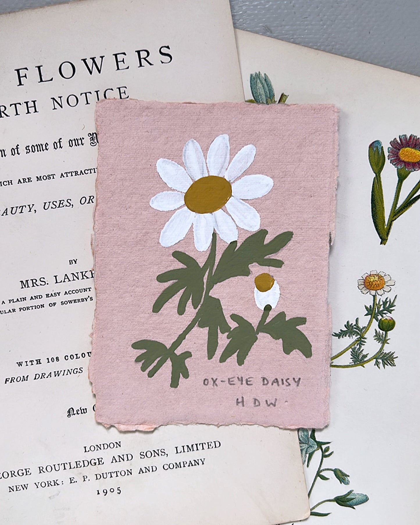 011 Ox-Eye Daisy Painting