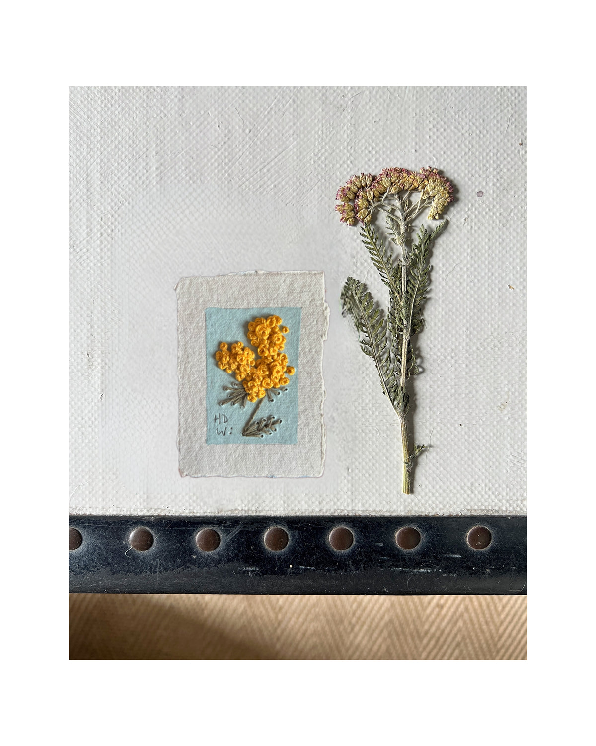 040 Achillea Millefolium Embroidery on paper