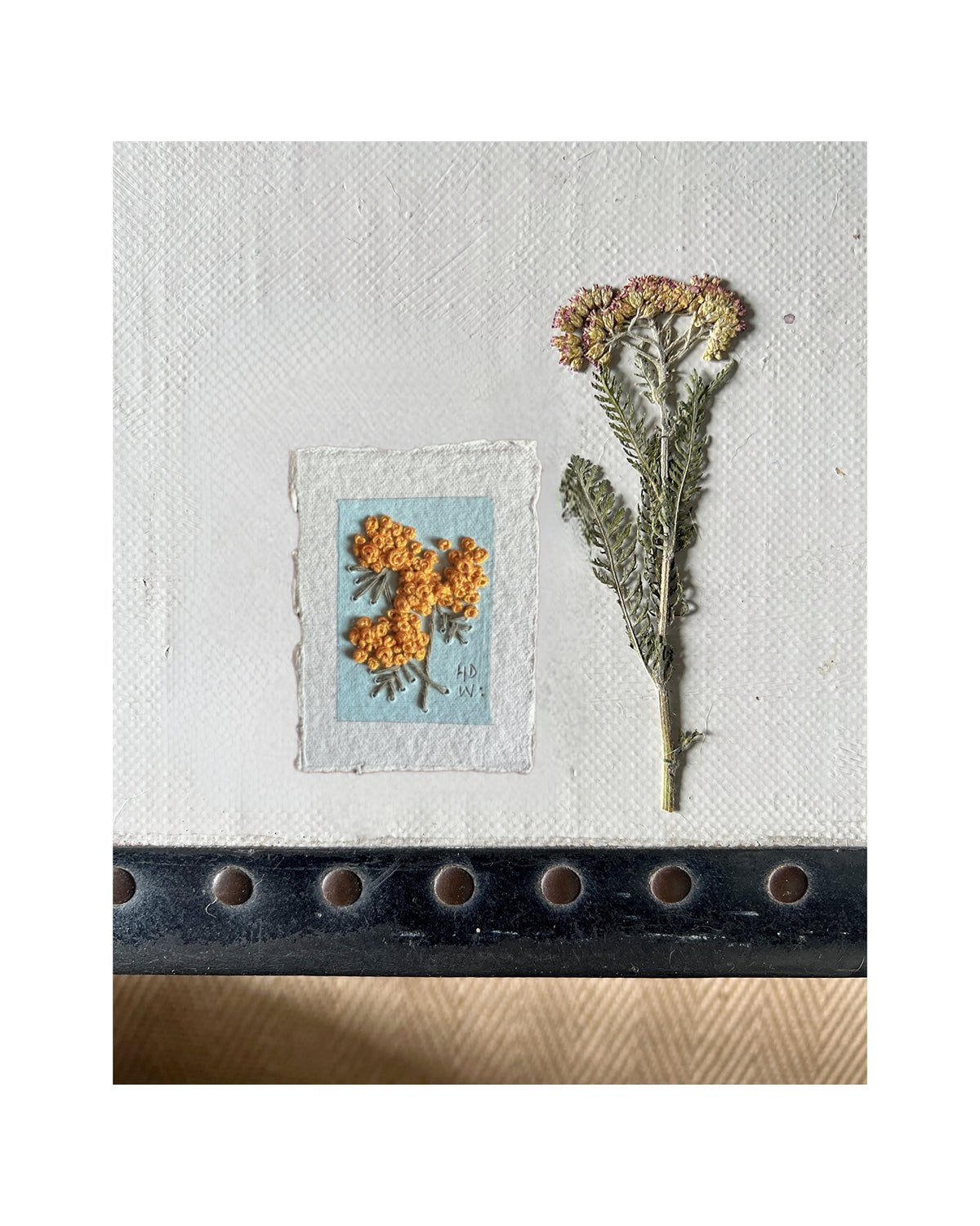 039 Achillea Millefolium Embroidery on paper