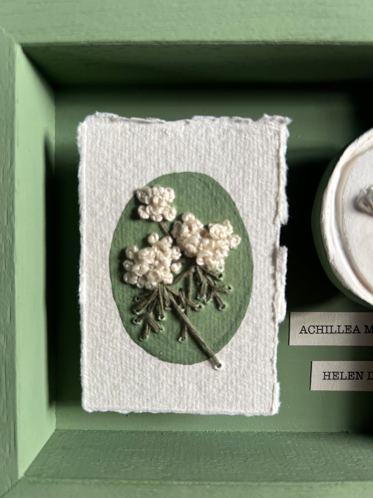 002 Framed plaster Intaglio & paper embroidery - in Calke Green