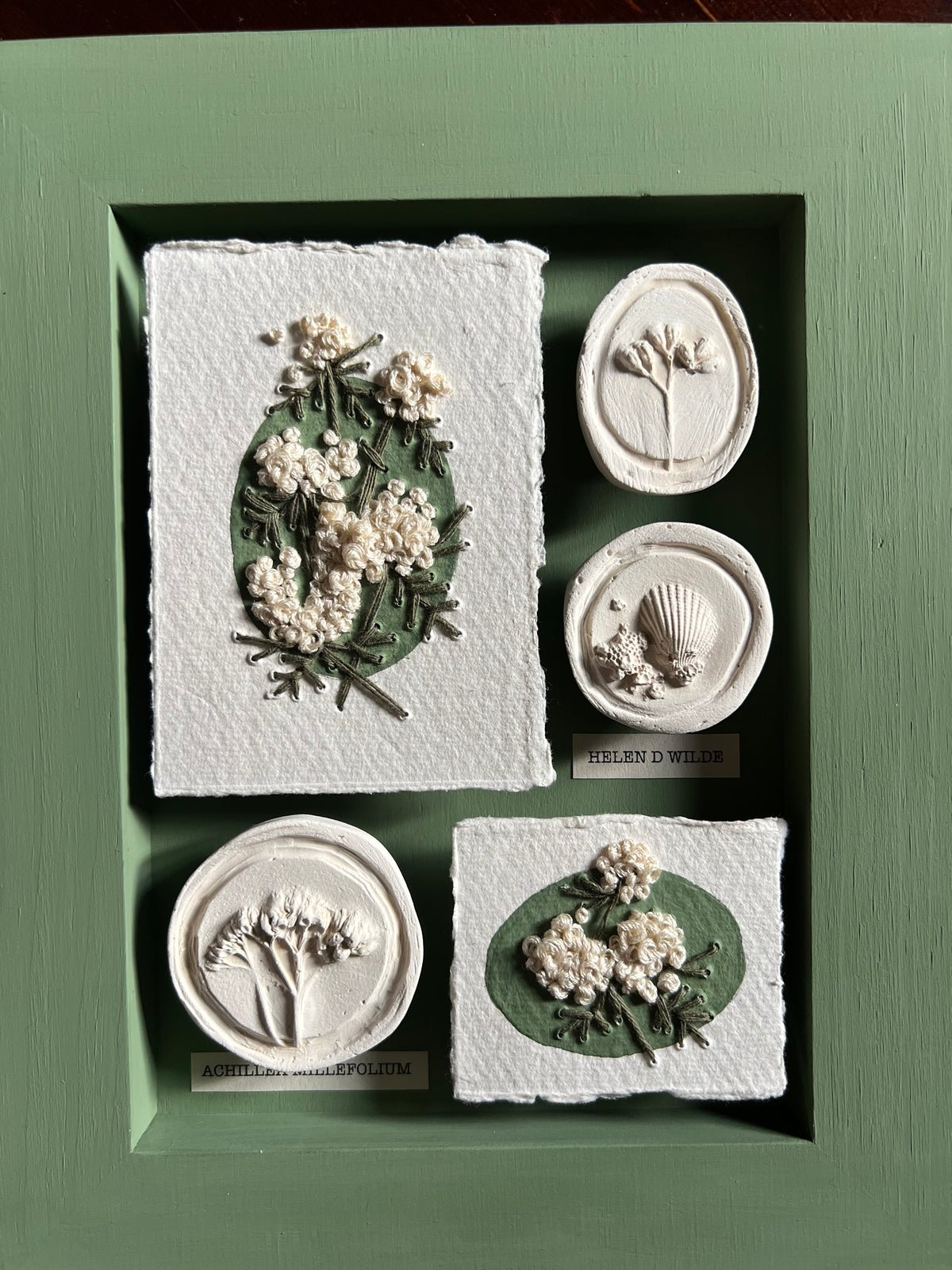 A framed botanical art display featuring five textured cream-colored relief sculptures of flowers, leaves, and shells set against a sage green background. The pieces are mounted on textured white paper squares and circular plaques, with three small labels visible at the bottom.