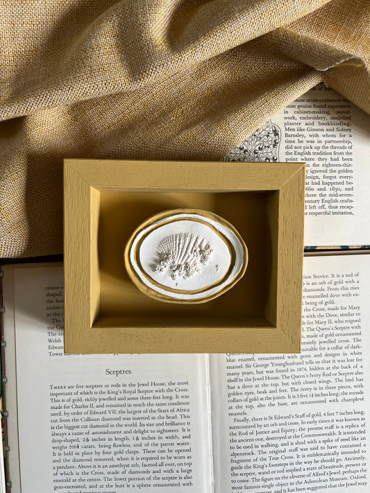 006 Framed Seashell plaster Intaglio - in India yellow.