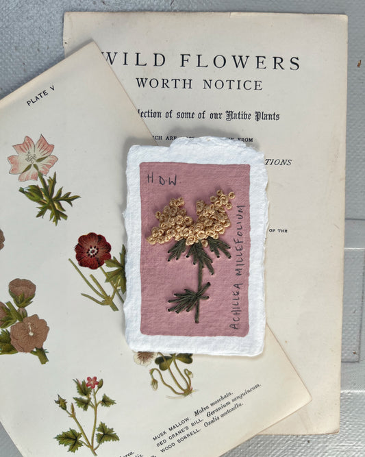 020 Achillea Millefolium Embroidery