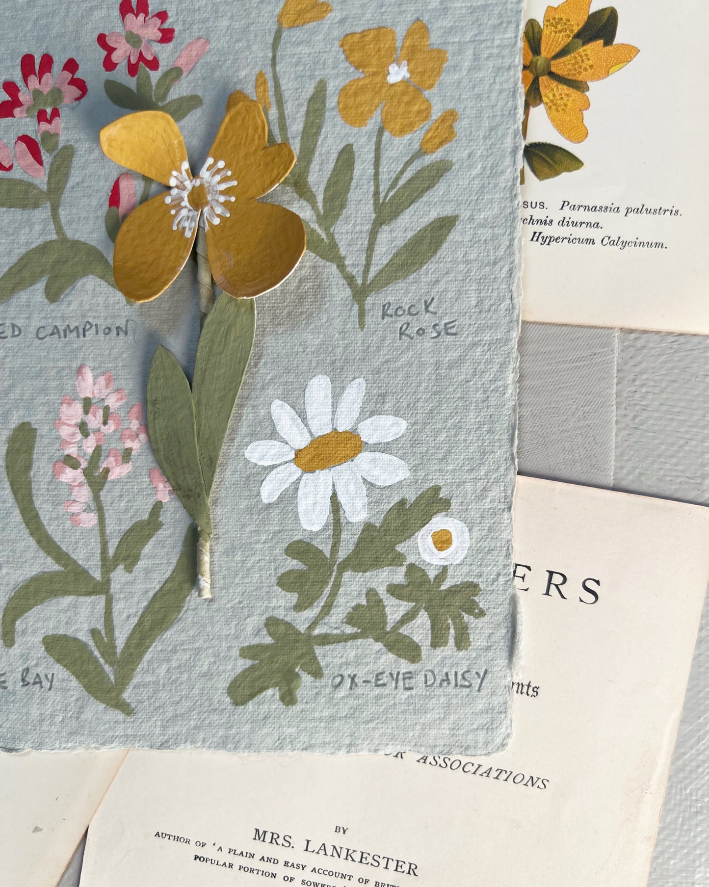 014 Paper Flower Botanical Painting