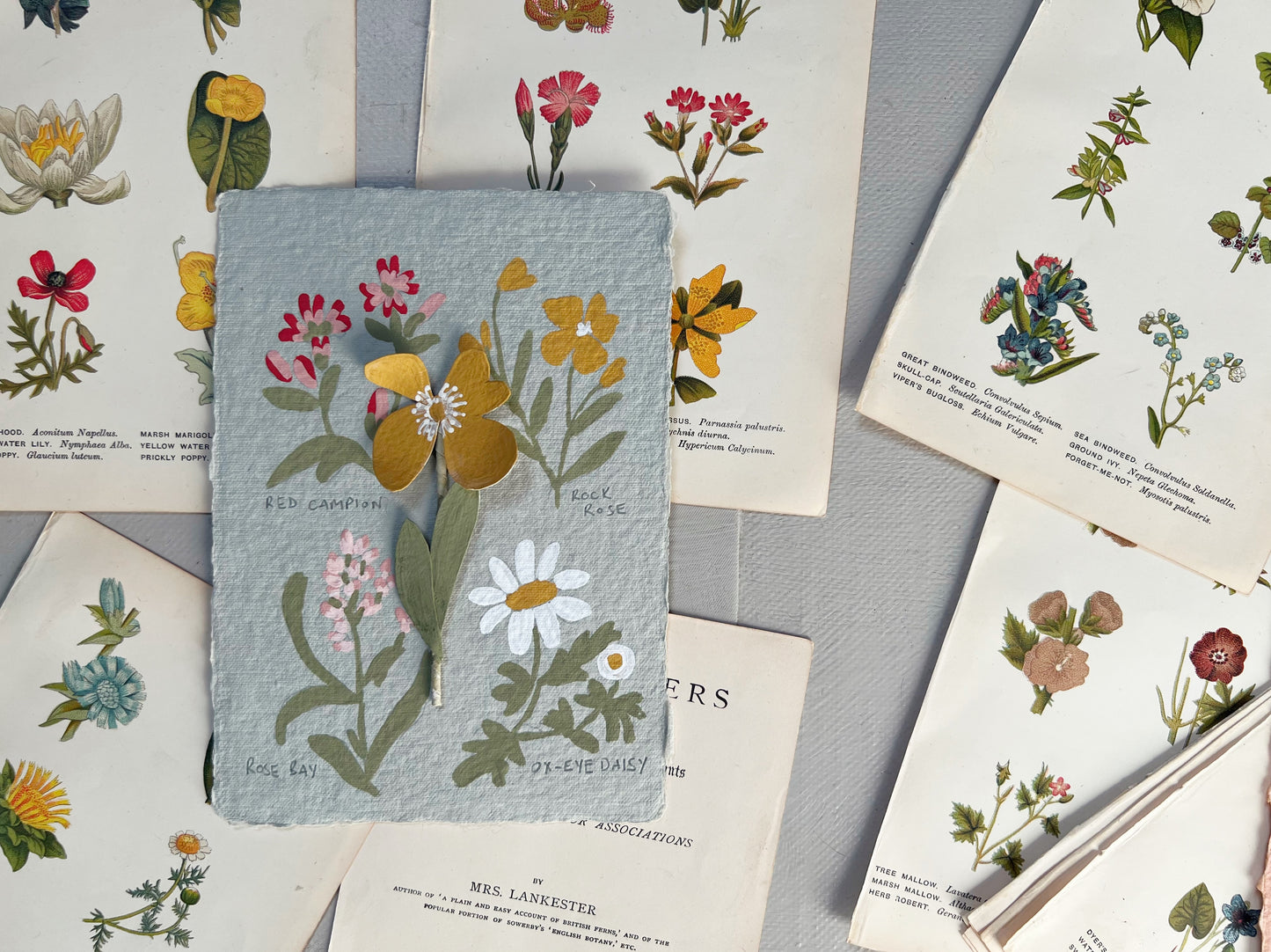 014 Paper Flower Botanical Painting