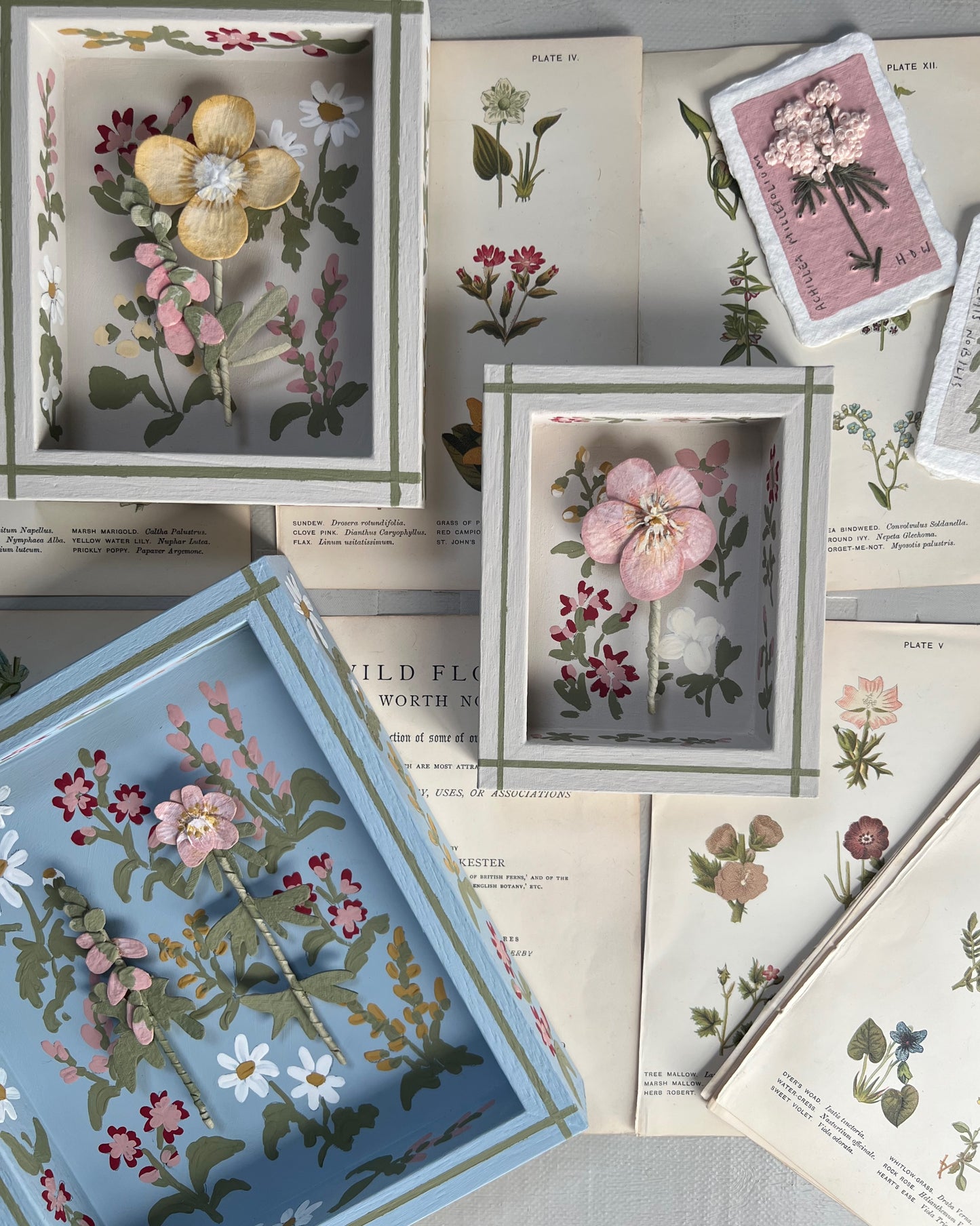 009 - Paper wild flowers with painted Frame.