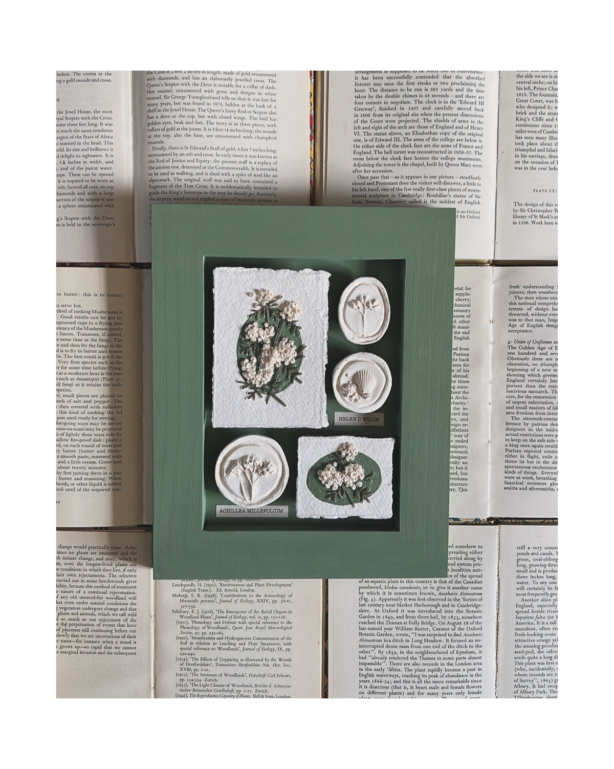 002 Framed plaster Intaglios & paper embroidery - in Calke Green