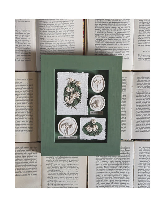 002 Framed plaster Intaglios & paper embroidery - in Calke Green