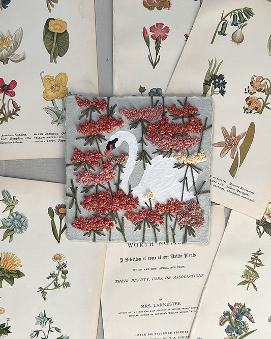 011 - The Swan & The Wildflowers