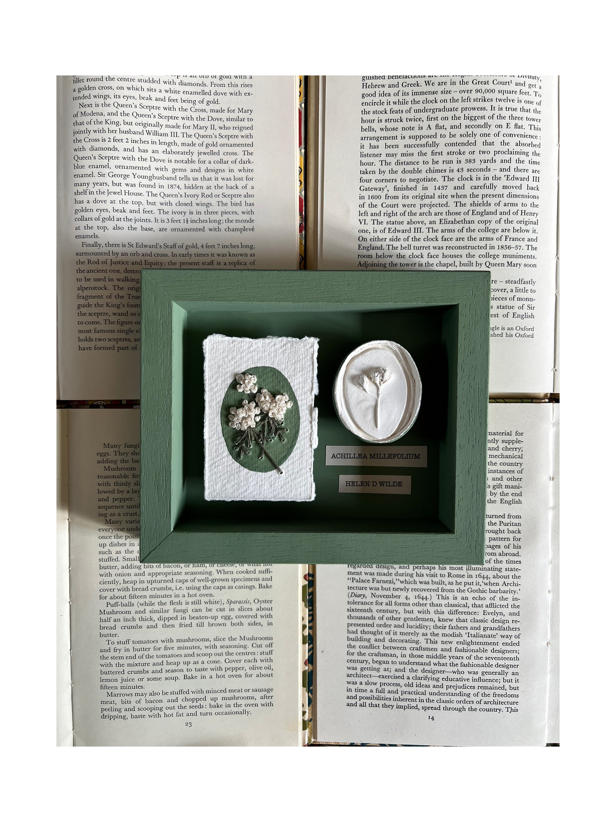 002 Framed plaster Intaglio & paper embroidery - in Calke Green