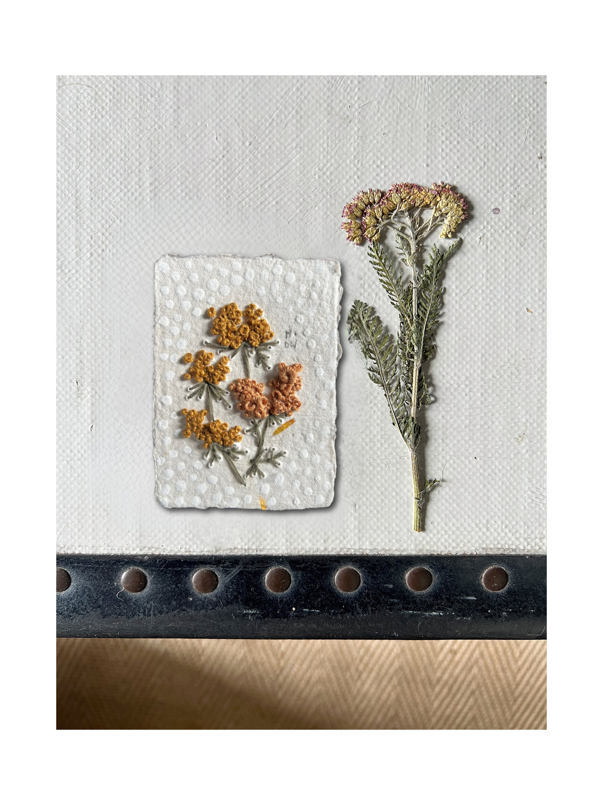 008 Achillea Millefolium Embroidery on paper