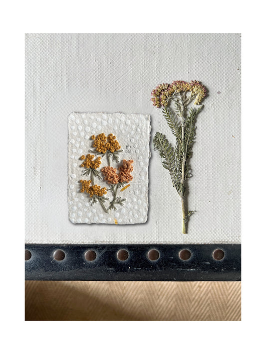 008 Achillea Millefolium Embroidery on paper