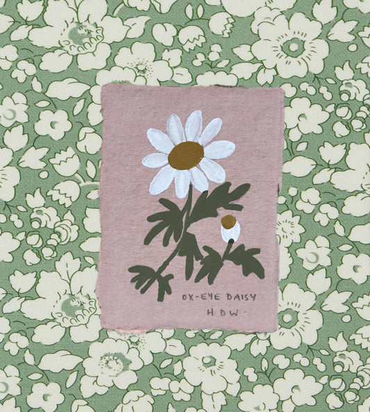 011 Ox-Eye Daisy Painting