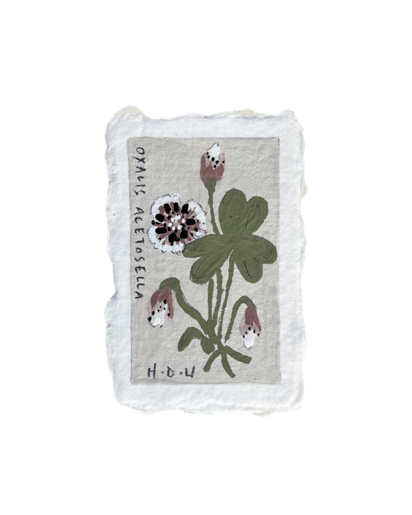 012 Wood Sorrel Painting