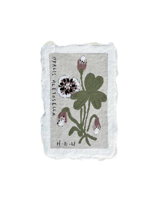 008 Wood Sorrel Painting
