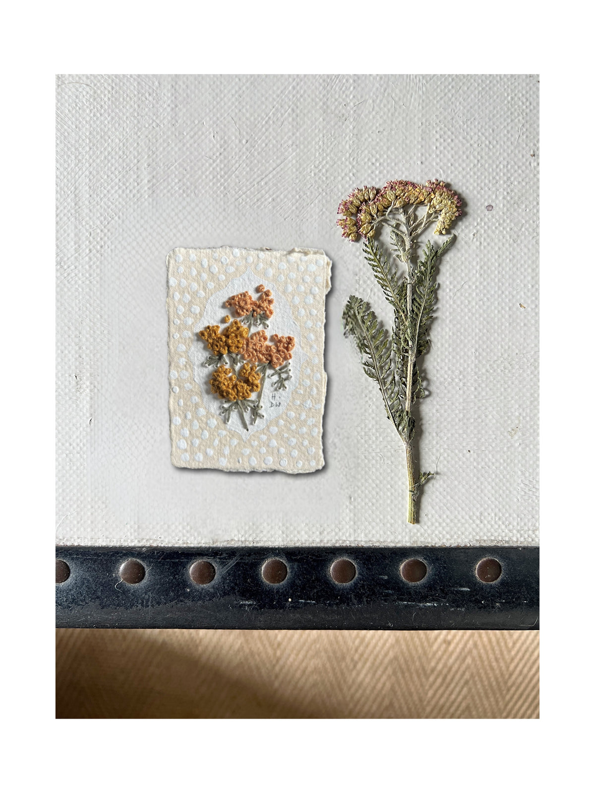 017 Achillea Millefolium Embroidery on paper