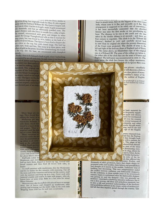 006 Embroidered wild flowers on Handmade Paper - Framed in Yellow