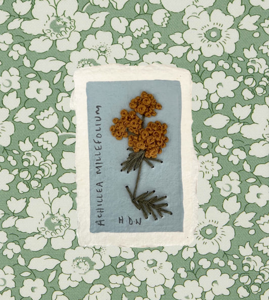 006 Achillea Millefolium Embroidery