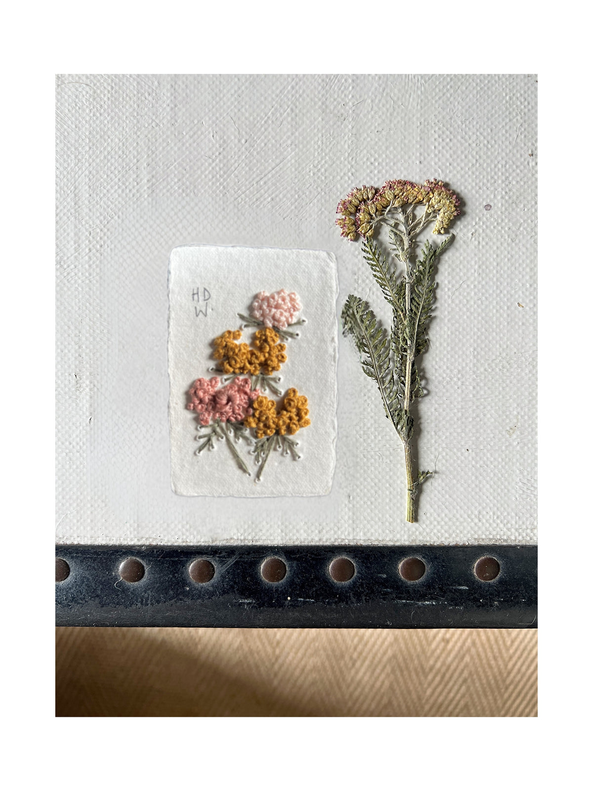 005 Achillea Millefolium Embroidery on paper
