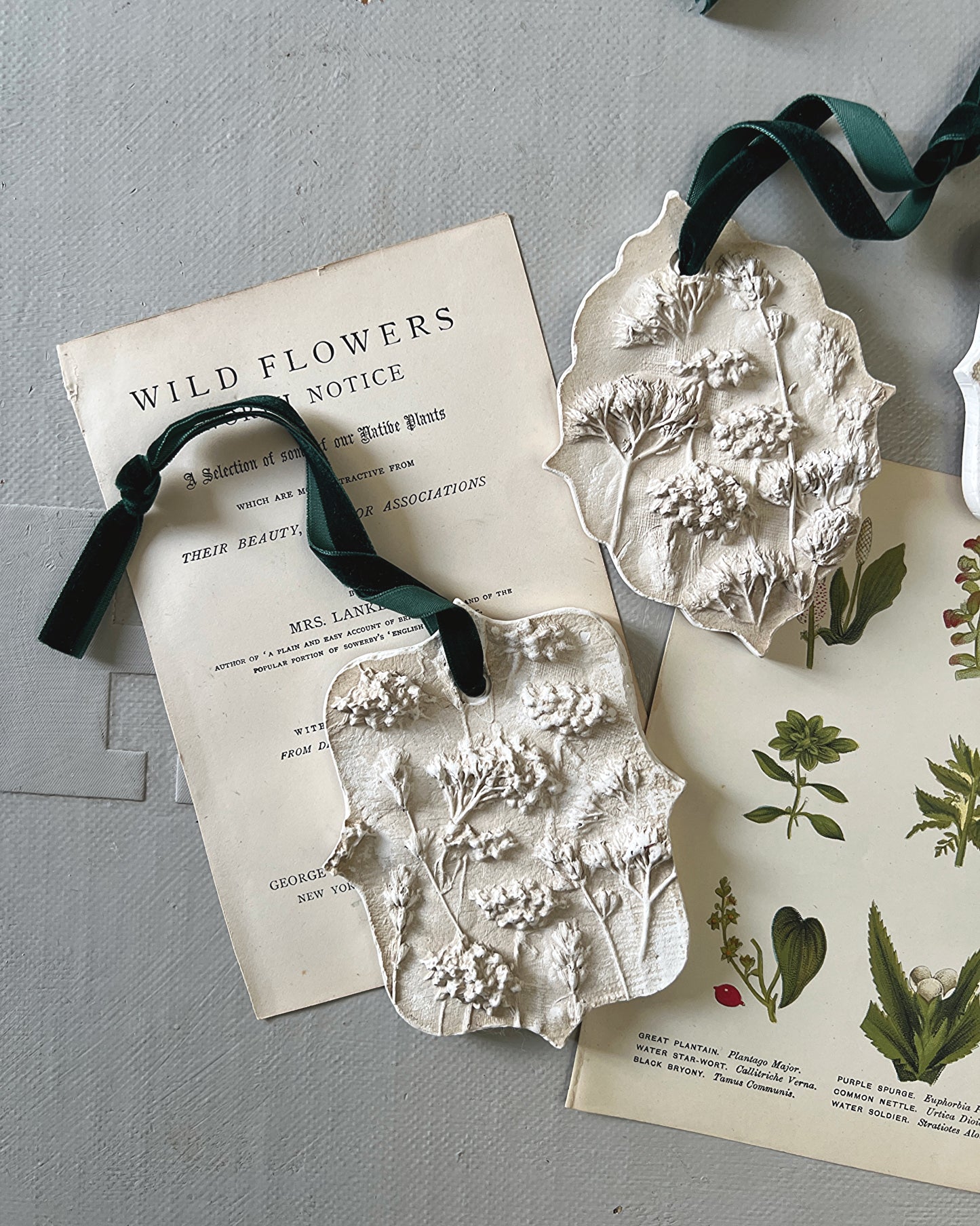 004 Embroidery & Wildflower Plaster Decoration I