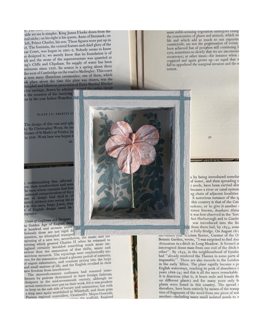 014 - Handmade Paper wild flower with painted Frame in Blue.