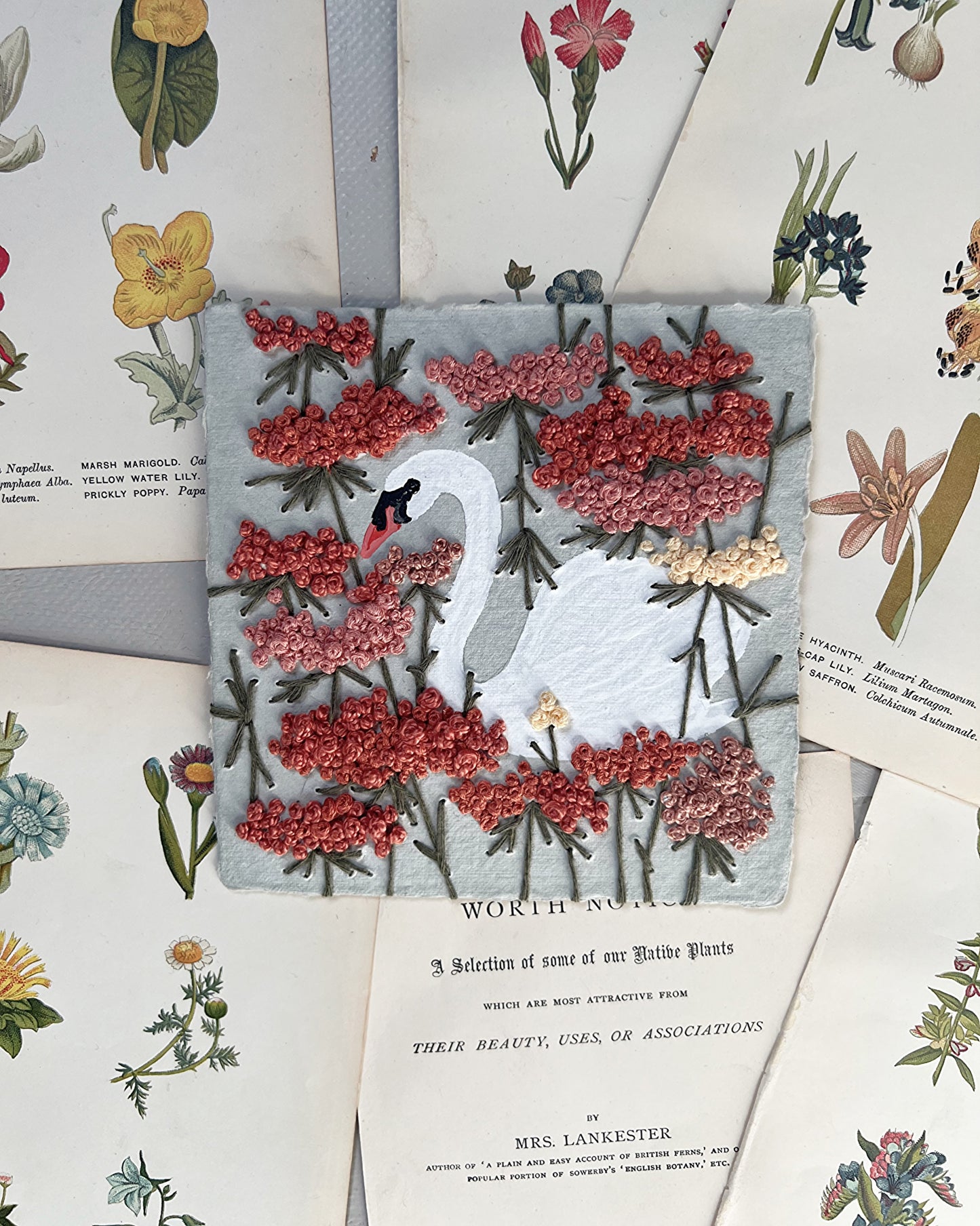 016 - The Swan & The Wildflowers