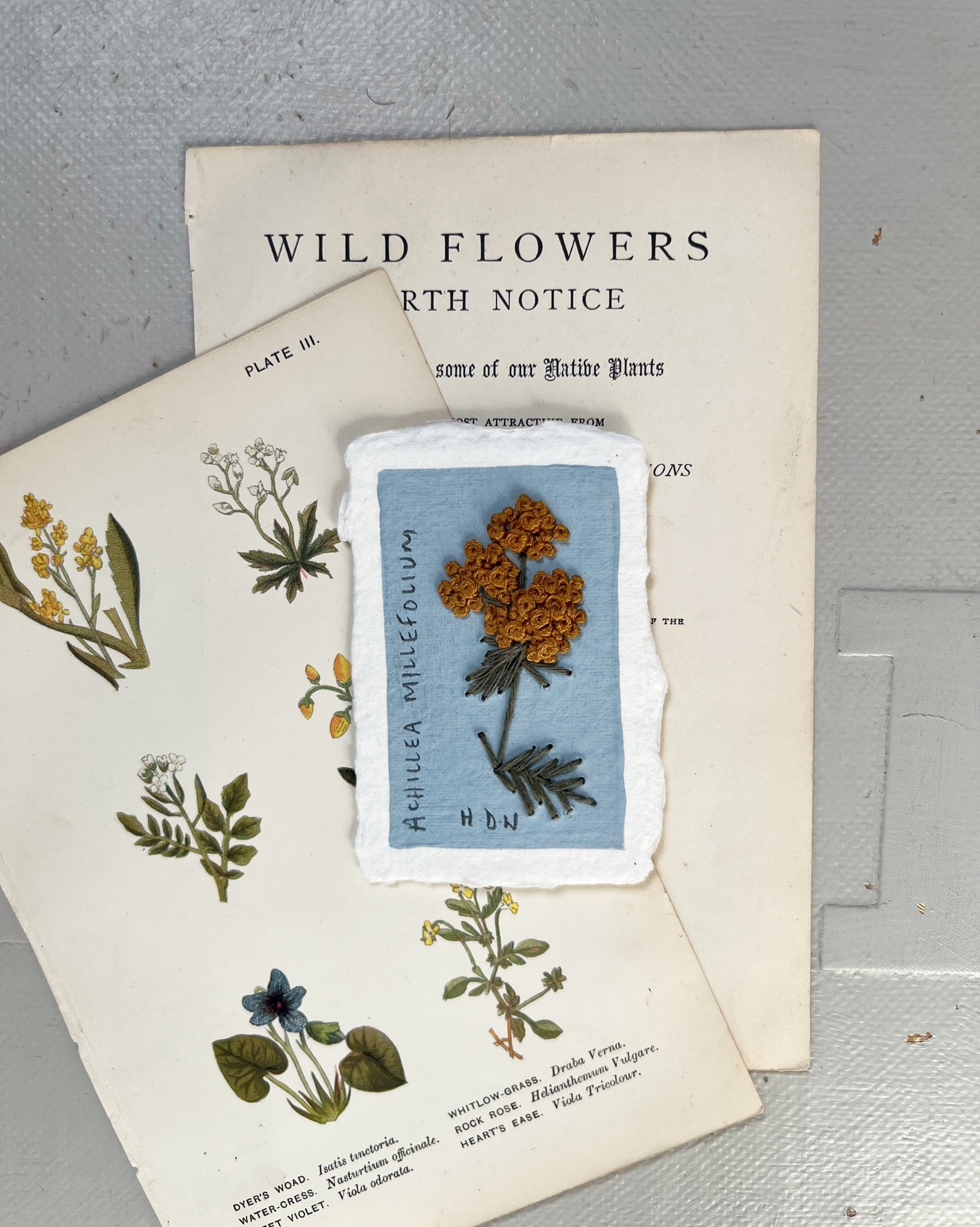 006 Achillea Millefolium Embroidery